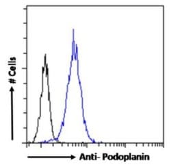 Podoplanin Rabbit anti-Mouse, Clone: PMab-1, Novus Biologicals:Antibodies:Primary